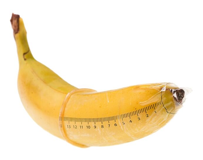 The optimal size of an erect penis is 10-16 cm. 