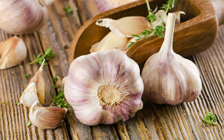 that is useful garlic